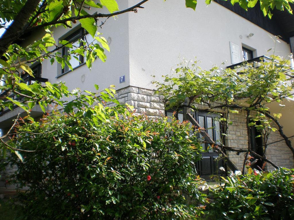 סלוניי Apartment Vi&Mi מראה חיצוני תמונה